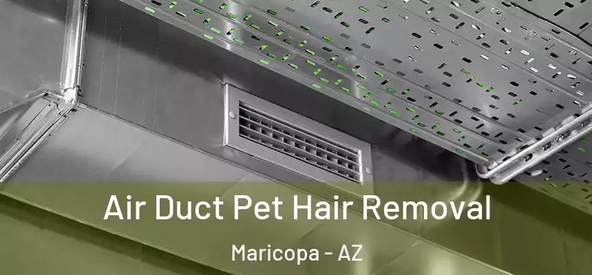  Air Duct Pet Hair Removal Maricopa - AZ