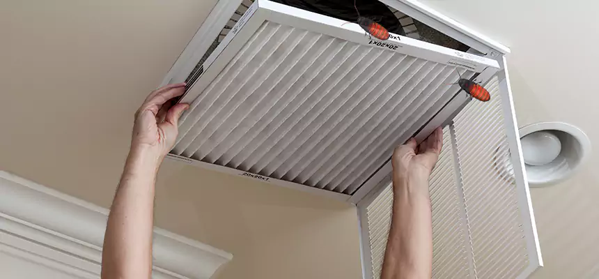 Preventive Cockroach-Proofing for Ducts in Maricopa