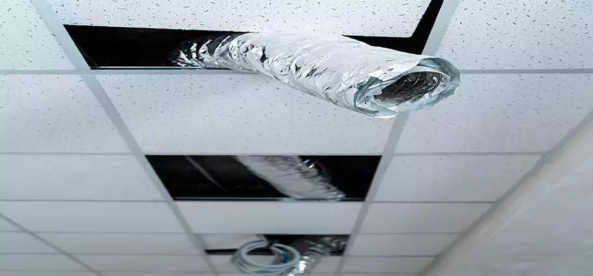 Affordable HVAC Sanitizing After Pest Removal in Maricopa