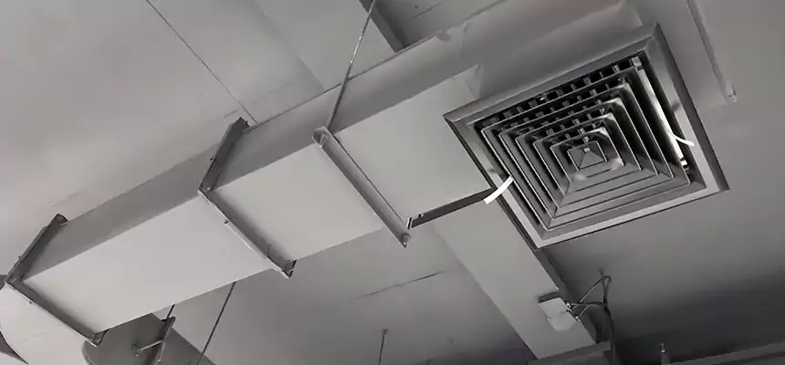 Restorative Allergy Relief Vent Cleaning – Coil, Blower & Housing Detail in Maricopa