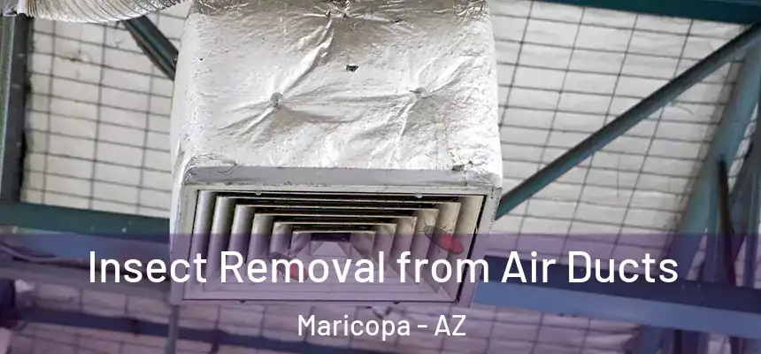  Insect Removal from Air Ducts Maricopa - AZ