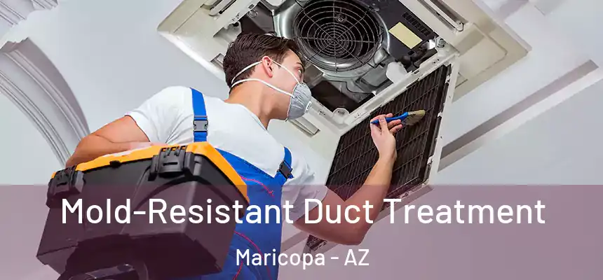  Mold-Resistant Duct Treatment Maricopa - AZ