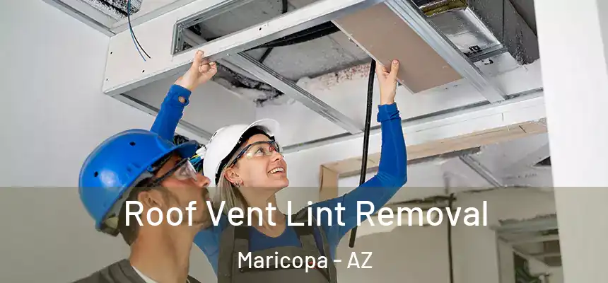  Roof Vent Lint Removal Maricopa - AZ