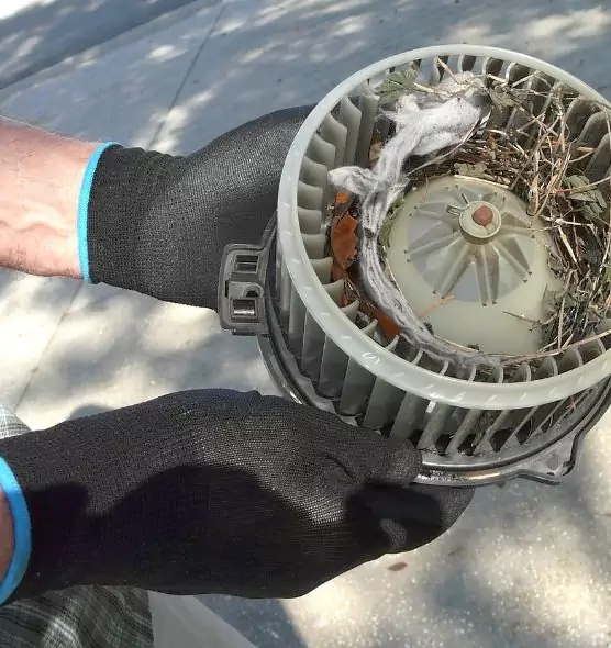 About Air Duct Mice Removal in Maricopa, AZ