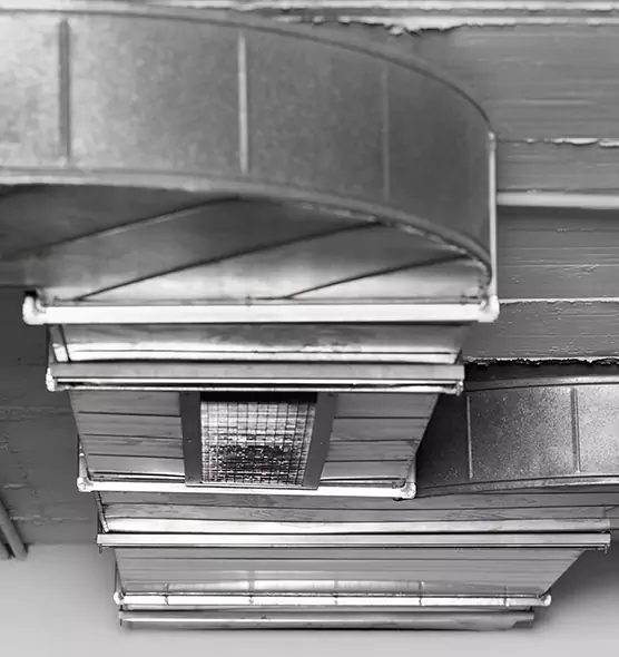 Professional Air Duct Pest Removal in Maricopa, AZ