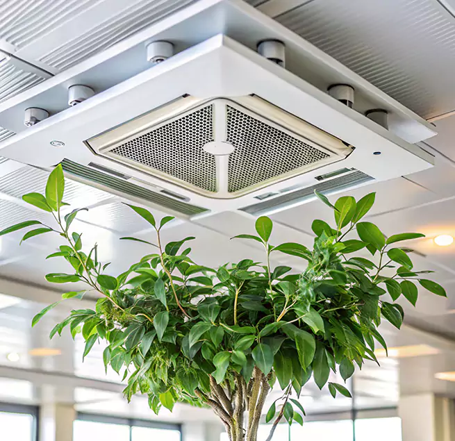 Why Homeowners & Businesses Trust Us in Maricopa, AZ