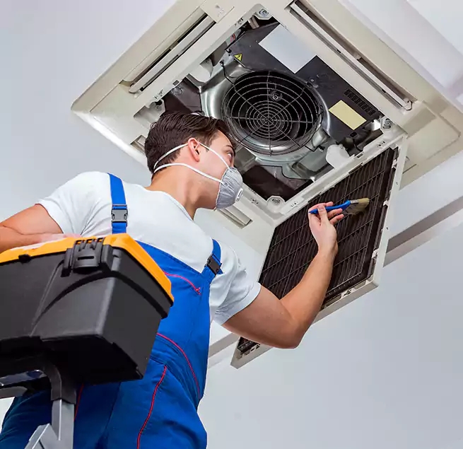 Why Homeowners & Businesses Trust Us in Maricopa, AZ?